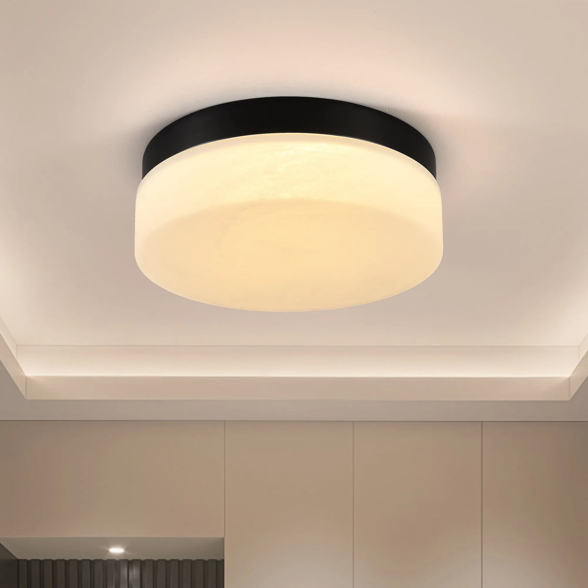 Plafonnier LED minimaliste noir