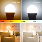 Ampoule LED voix detail