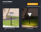 Villa Minimaliste ground light full silhouette