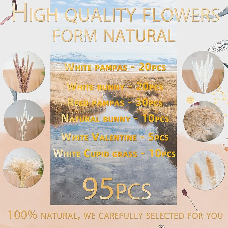 58be073cff50120fa74b21ebf811752c