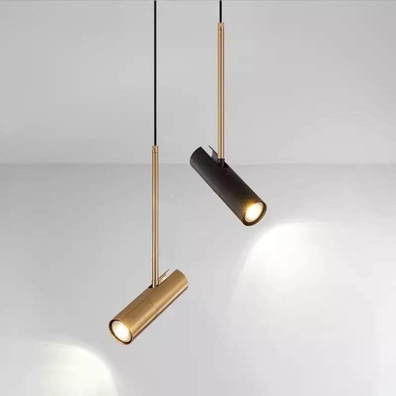 Duo sleek swivel spotlight illuminating a garden tree