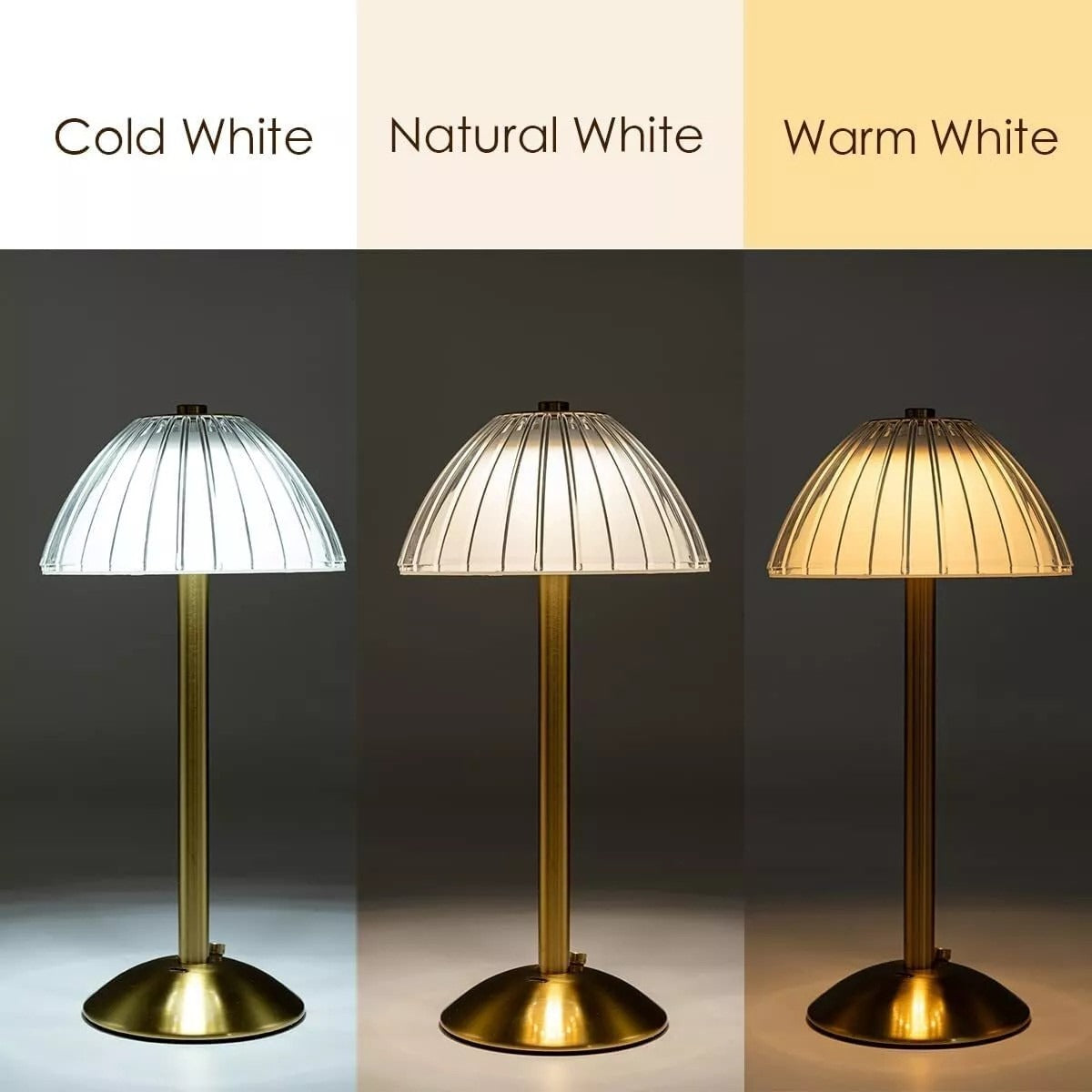 Halo cordless dimmable night light on a dinner table