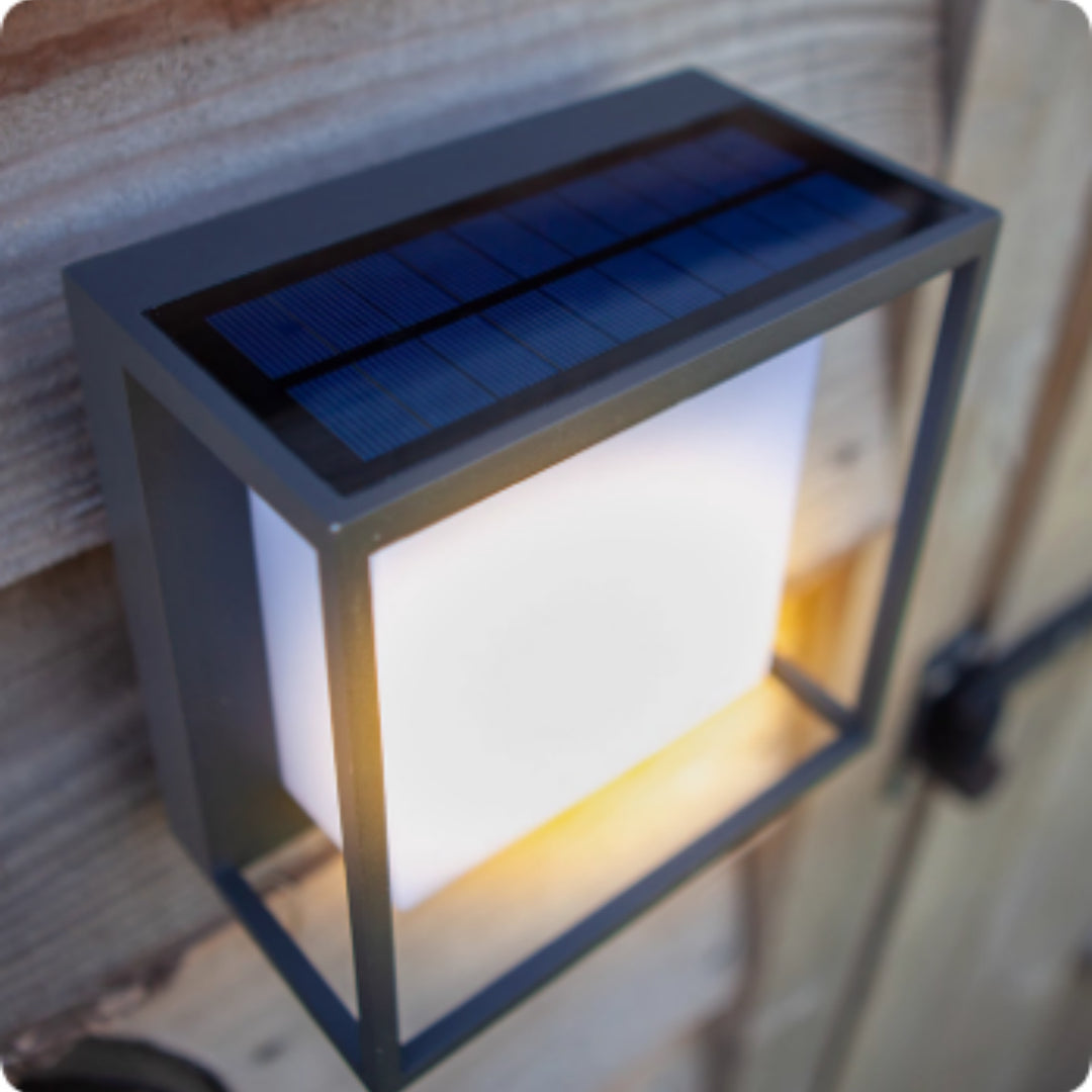 Jardin Solaire wall light styled on a courtyard wall