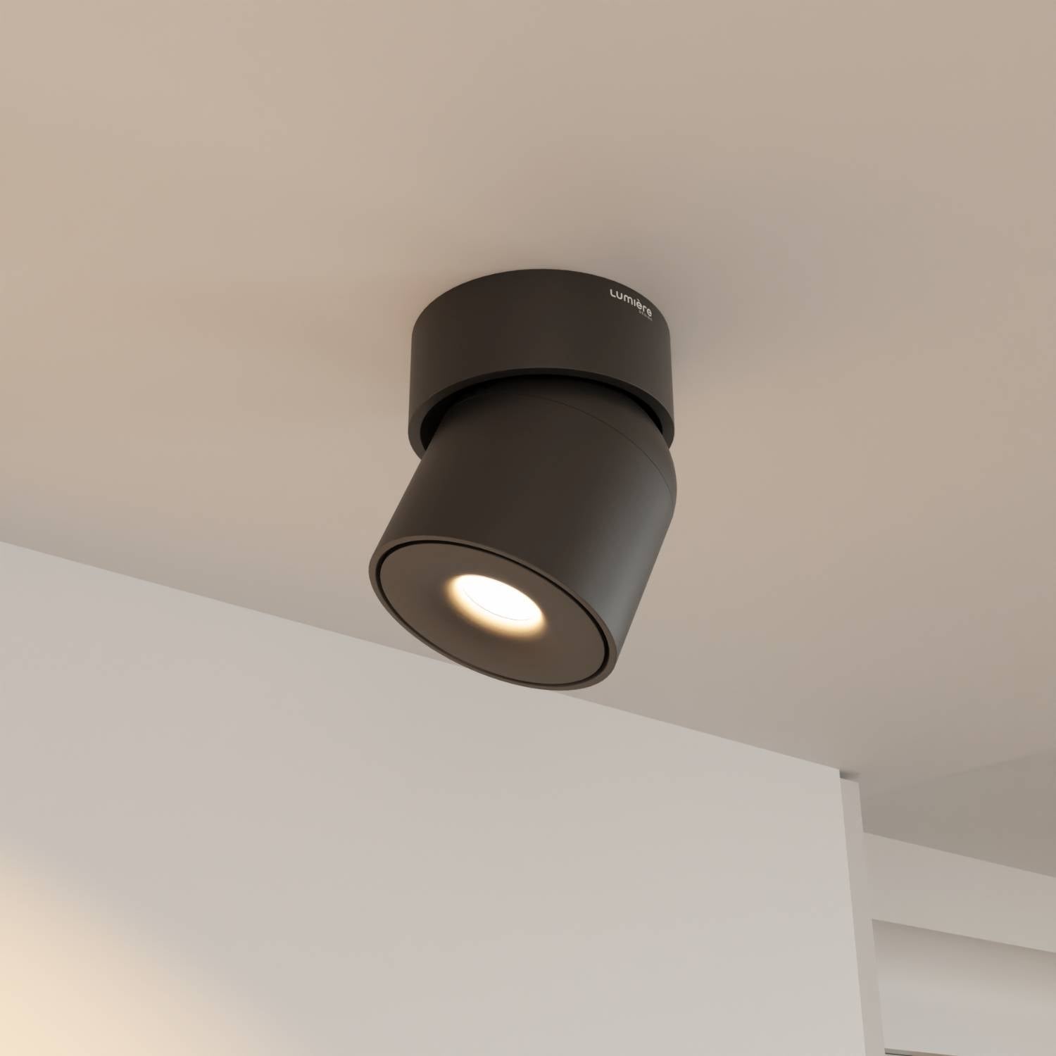 Plafonnier tête orientable flexible
